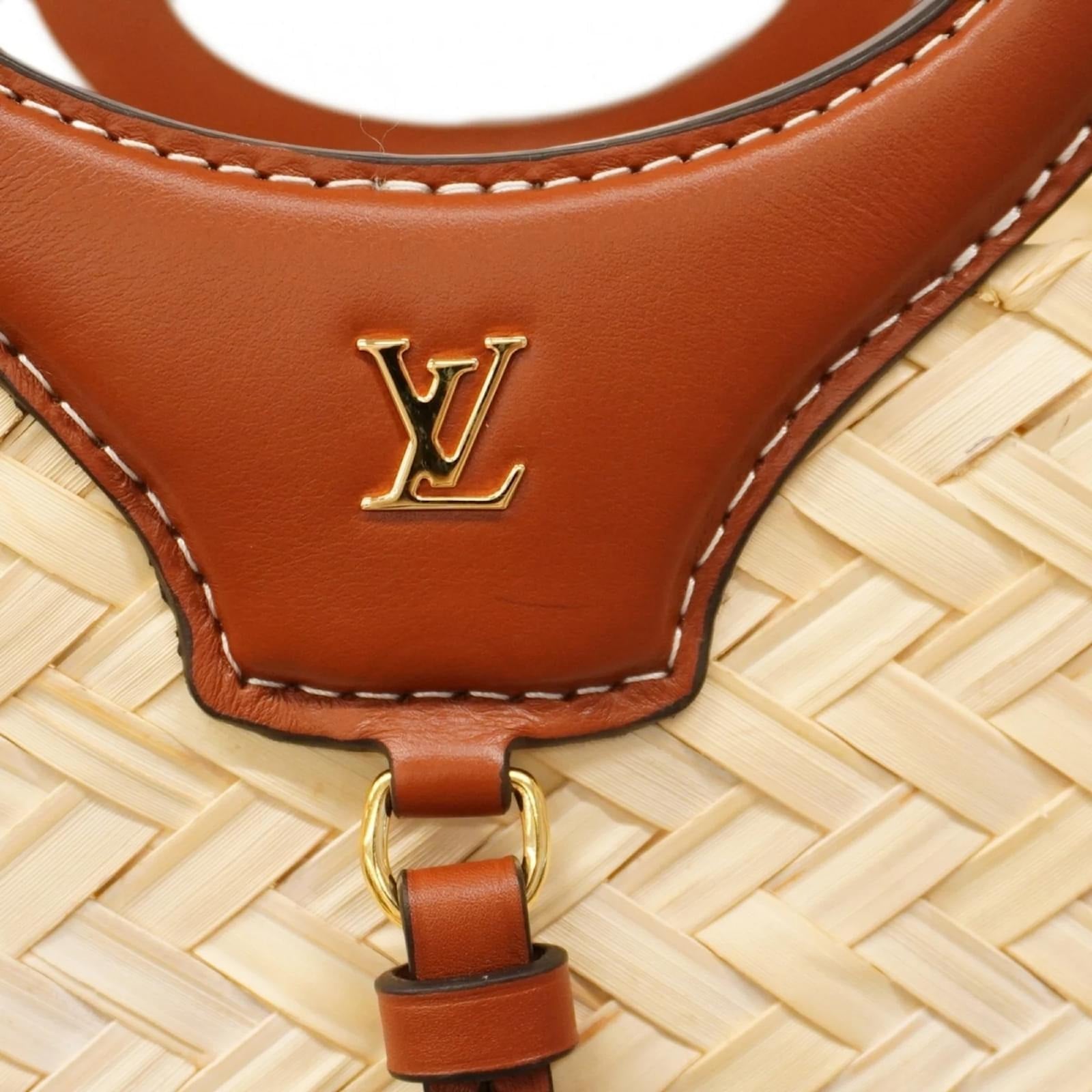 BORSA RIVAGE GM DI LOUIS VUITTON