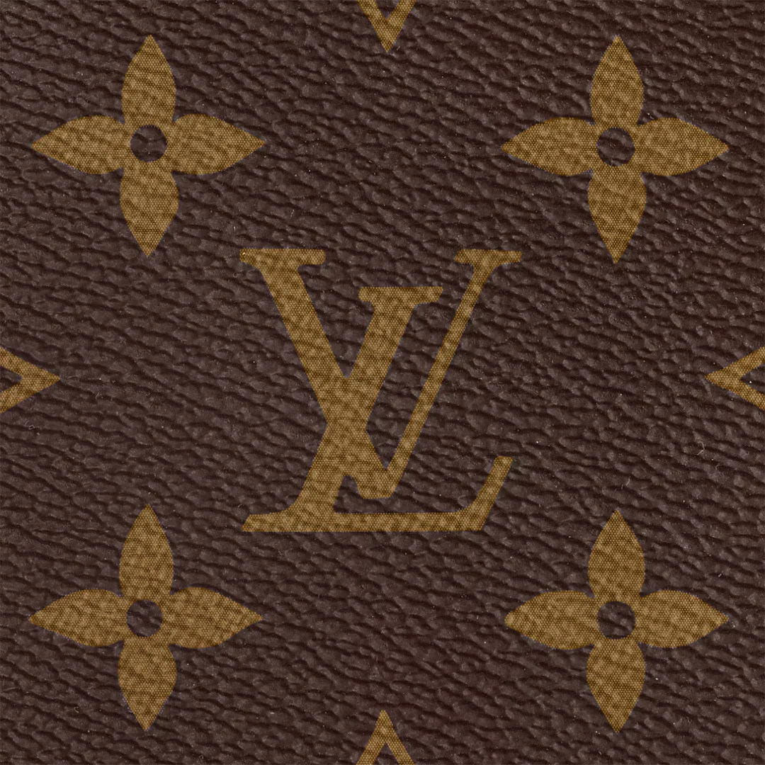 ACCESSORI MULTI POCHETTE LOUIS VUITTON