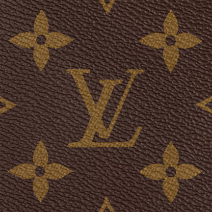 ACCESSORI MULTI POCHETTE LOUIS VUITTON